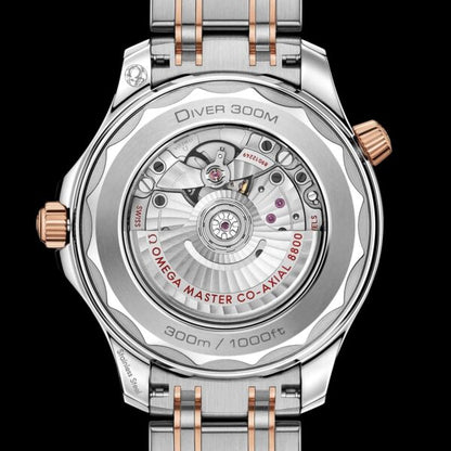 Omega Seamaster firstcopy Two Tone Blue Dial Automatic Men’s Watch